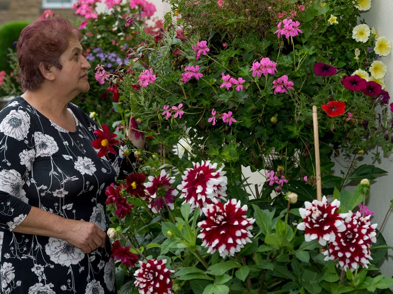 September 2016 and Galatea Gunning is pictured in her garden where she can spend up to eight hours a day looking after her plants for local residents to admire.