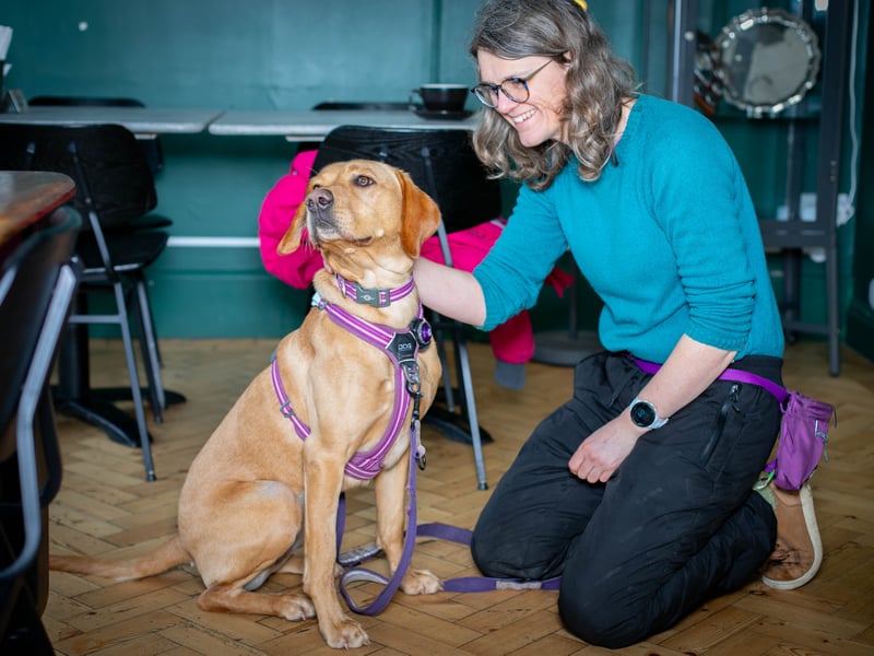 Puppy love at the Club House Southsea hosted by Love Southsea and the Club House ahead of Valentines Day where single pups met up. 


Pictured: Fiona Thompson with Crumpet the Labrador


Picture: Habibur Rahman