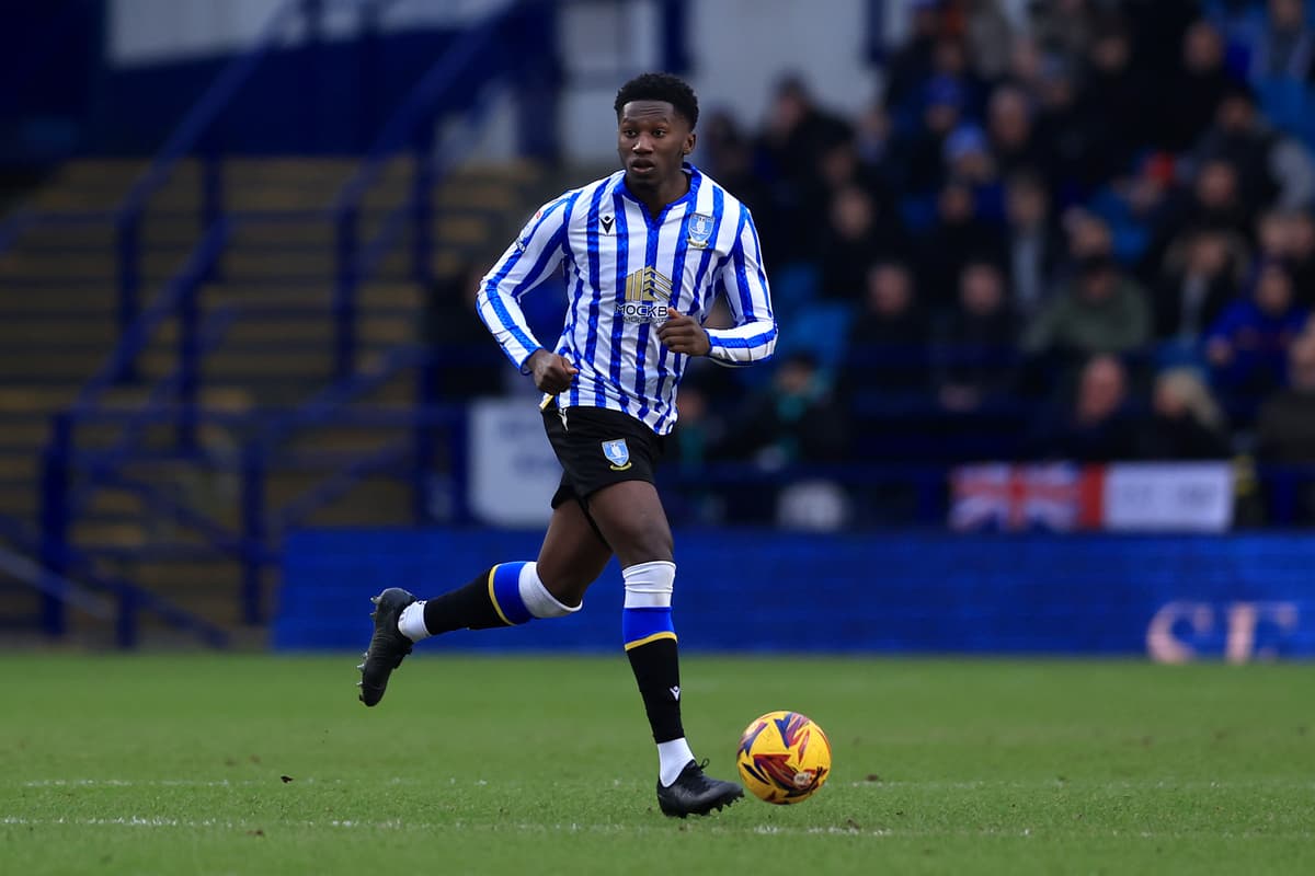 Sheffield Wednesday erhält nach erneuten Befürchtungen einen wichtigen ...