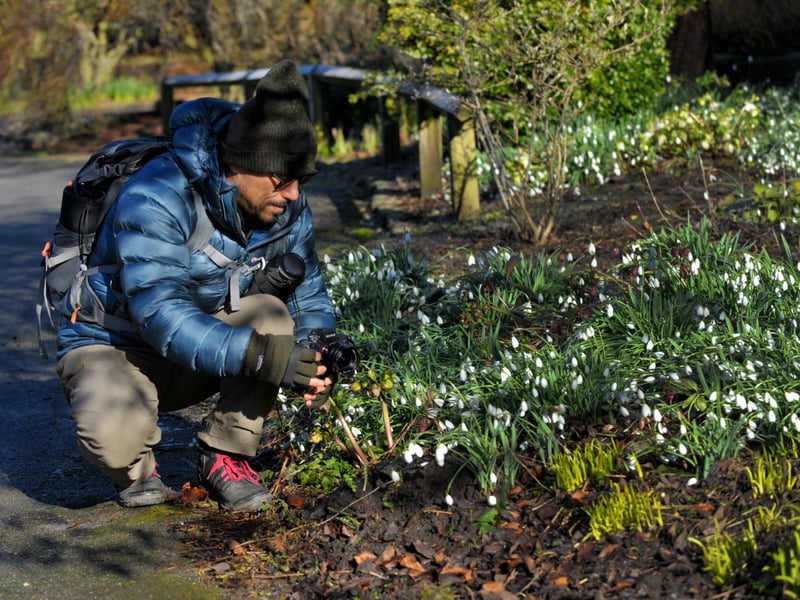 Masaru Yoshiokaof Woodhouse takes  a close up photograph of the snowdrops in Golden Acre Park.