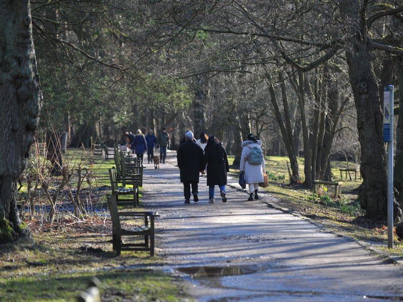A walk in the sunshine at Golden Acre Park.