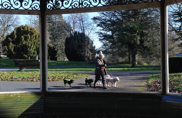 One of Europe’s largest city parks offers 700 acres of variety, from the easy Waterloo Lake loop to the steeper, wooded 'Secret Gorge.' Once you've finished, head to The Roundhay Fox right on the edge of the park; it’s a quintessential country-style pub with a dedicated dog-friendly area and crackling log fires.