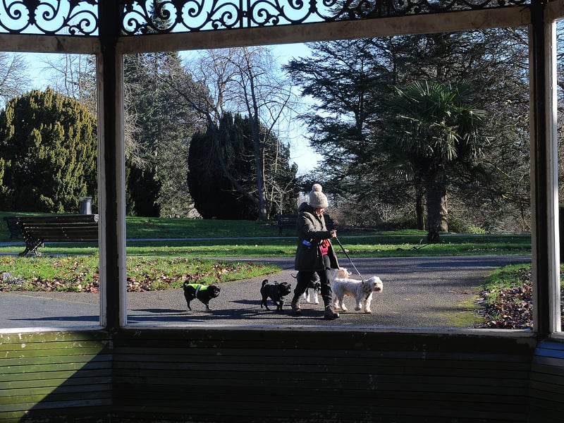 One of Europe’s largest city parks offers 700 acres of variety, from the easy Waterloo Lake loop to the steeper, wooded 'Secret Gorge.' Once you've finished, head to The Roundhay Fox right on the edge of the park; it’s a quintessential country-style pub with a dedicated dog-friendly area and crackling log fires.