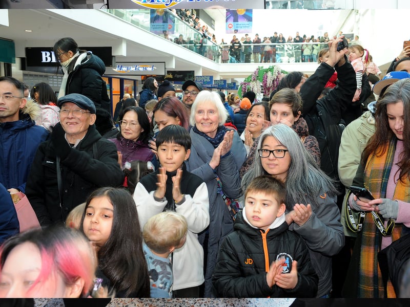 A busy crowd enjoys the performances.
