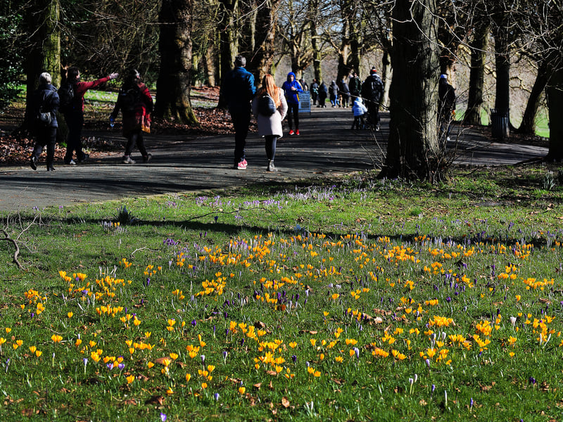 Walkers enjoy the day of sunshine in Roundhay Park.