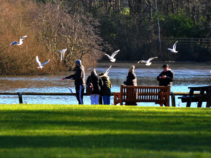 Feeding the birds in the sun in Golden Acre Park.