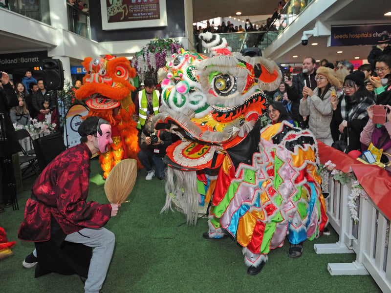 The lion dance to celebrate the year of the horse.