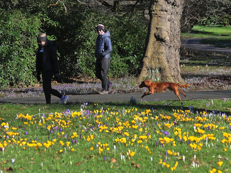 Walkers enjoy the day of sunshine in Roundhay Park.