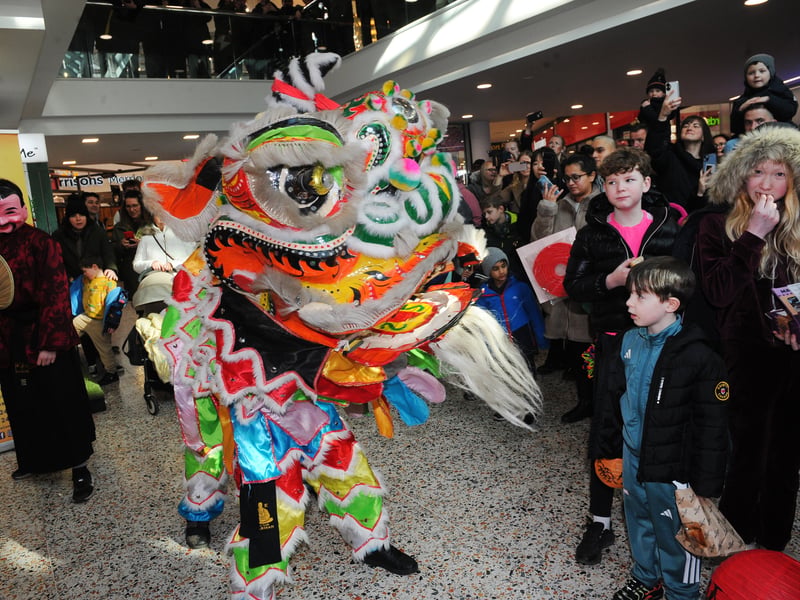 A lion dance to celebrate the year of the horse.