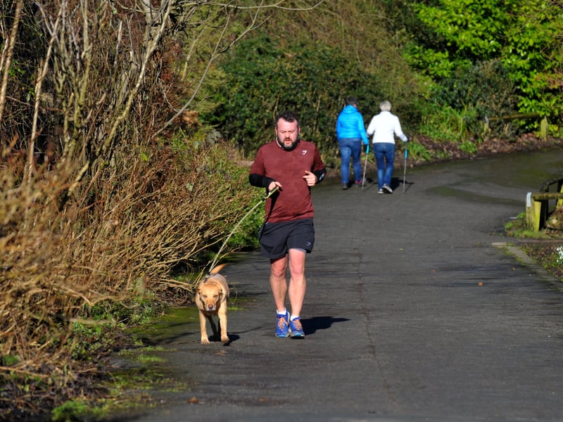 Famous for its floral displays and flat, accessible lakeside paths, this is a top choice for senior dogs or those practising lead-walking. For a post-walk pint, the Fox and Hounds in Bramhope is a historic traditional pub that welcomes dogs in its cosy tap room.