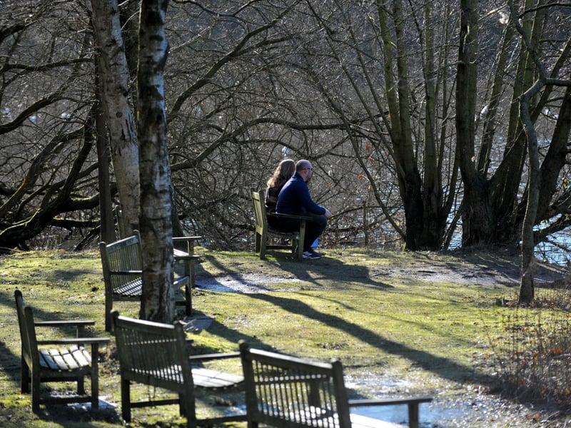 The tranquility of sitting in the sun in Golden Acre Park.