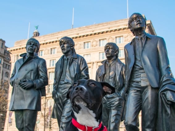 Apparently the Beatles have a fifth member... by Lesley Parr.