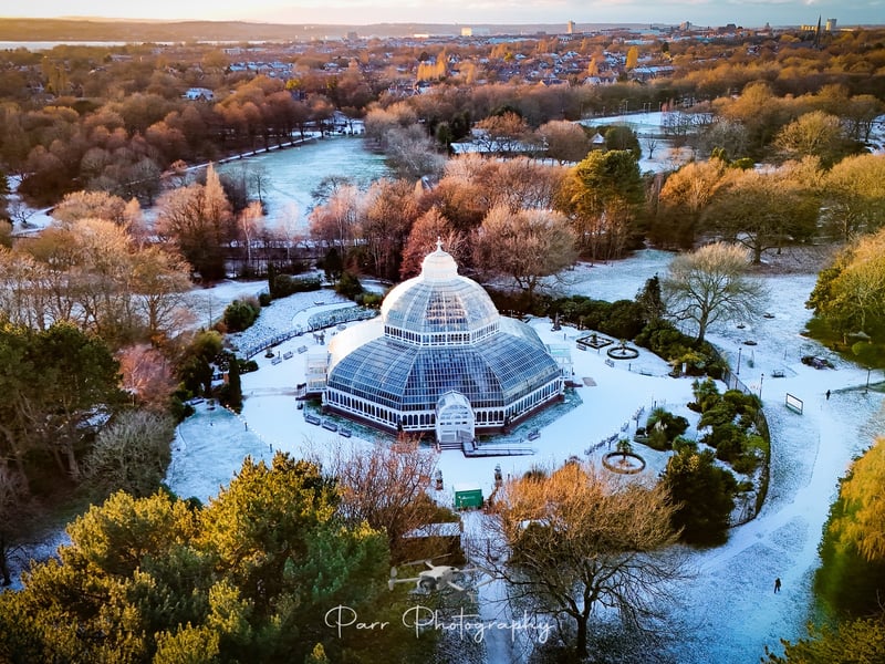 Sefton Park Palm House, by Lesley Parr.