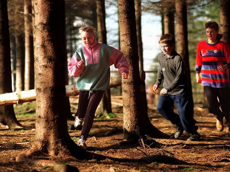 Youngsters, from left, Leanne Poole, Richard Tebbett and Nicola Stockdale enjoy themselves in the woods in February 1996.