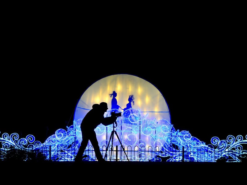 The Magical Lantern Festival in Tropical World and Roundhay Park in November 2016.