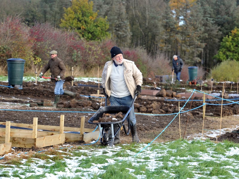 November 2016 and Derek Hanton, chair of Alwoodley Allotment Society, with fellow tenants busy on their plots.