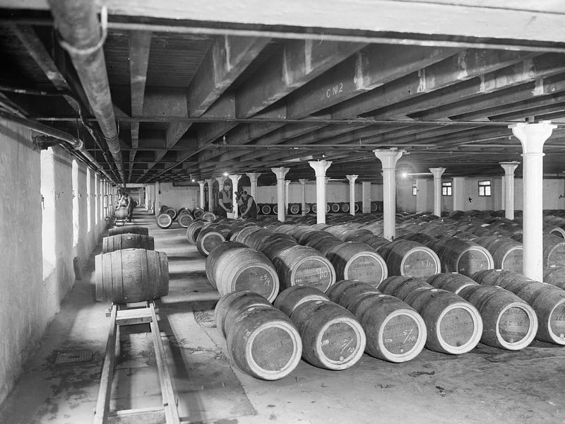 Barrels lined up at Drybrough's Craigmillar Brewery in October 1955.