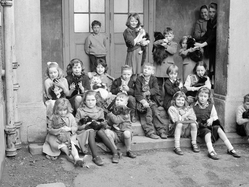 The Craigmillar School pet show in March 1963.