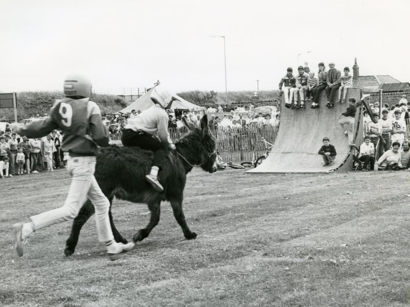 Arbroath's donkey derby, held on the Cricket Common, in July 1986