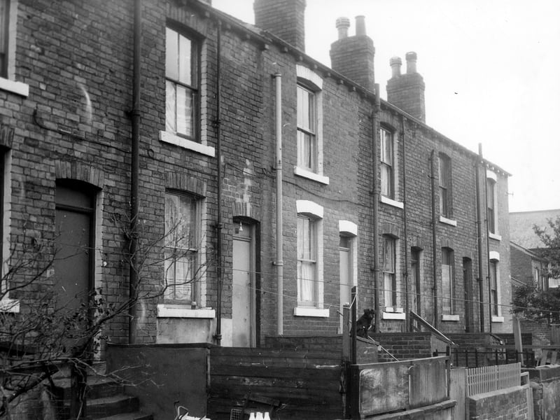 Back Hanover View in November 1969. The rear entrances and yards of through terraced houses number's 1 to 9 Hanover View. A black dog can be seen sitting on the steps of number 5 while in the foreground four milk bottles await collection from the yard wall of number 9.