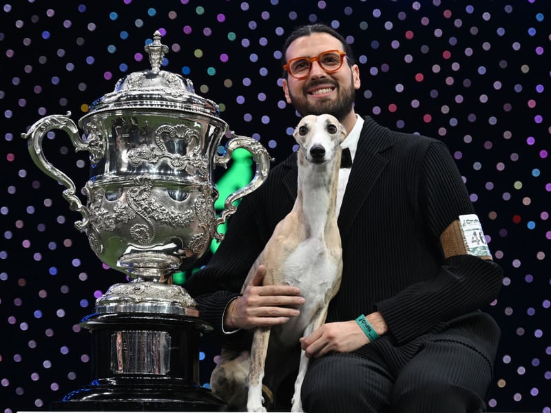 The most recent Crufts Best in Show champion was Miuccia the Whippet, pictured here with the trophy and owner Giovanni Liguori, from Italy.