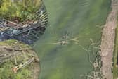 Farmers have been left 'isolated' as continued anti-social behaviour sees their land damaged by off-road bikers. 