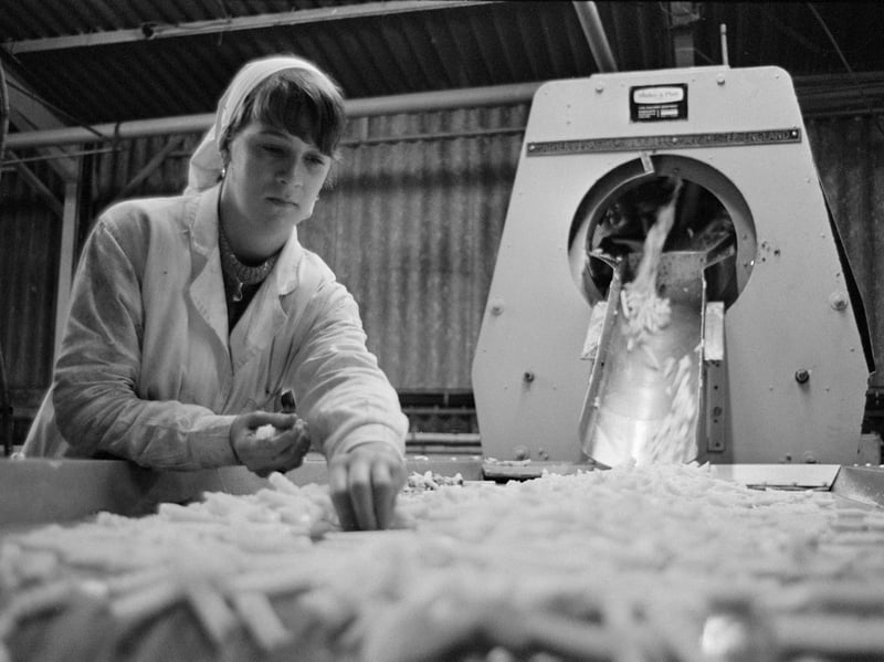 A worker sorts chipped potatoes on a conveyor belt at a frozen chip factory in Frickley, near Doncaster, in April 1970. The potatoes were mechanically cut in an industrial chipper by Mather & Platt, before being sorted, fried and frozen. The chips produced were reportedly the first British-made frozen potato chips.