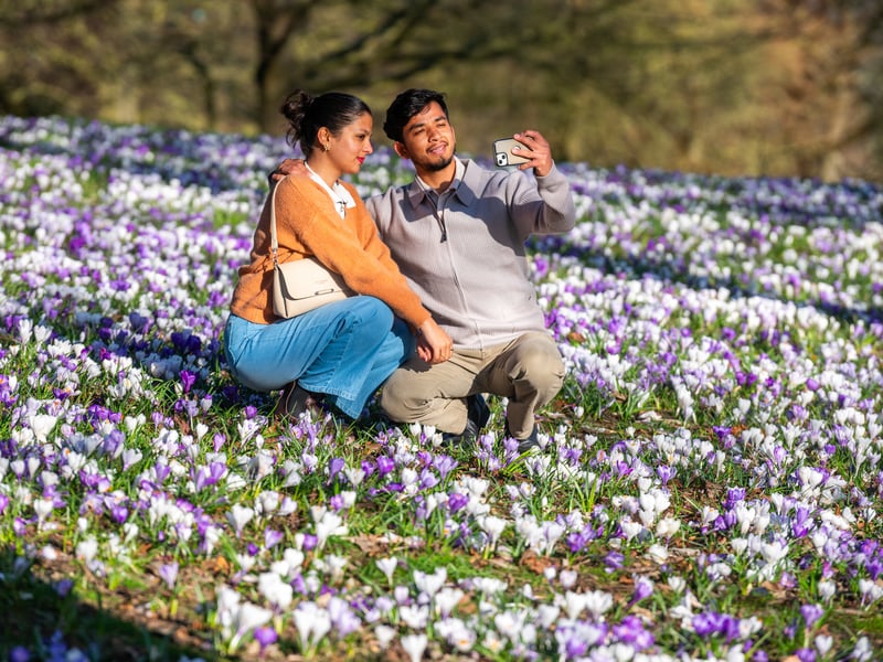 Binita Saud and Sandip Chand, share a special moment together and take a selfie amongst the carpet of flowering crocuses