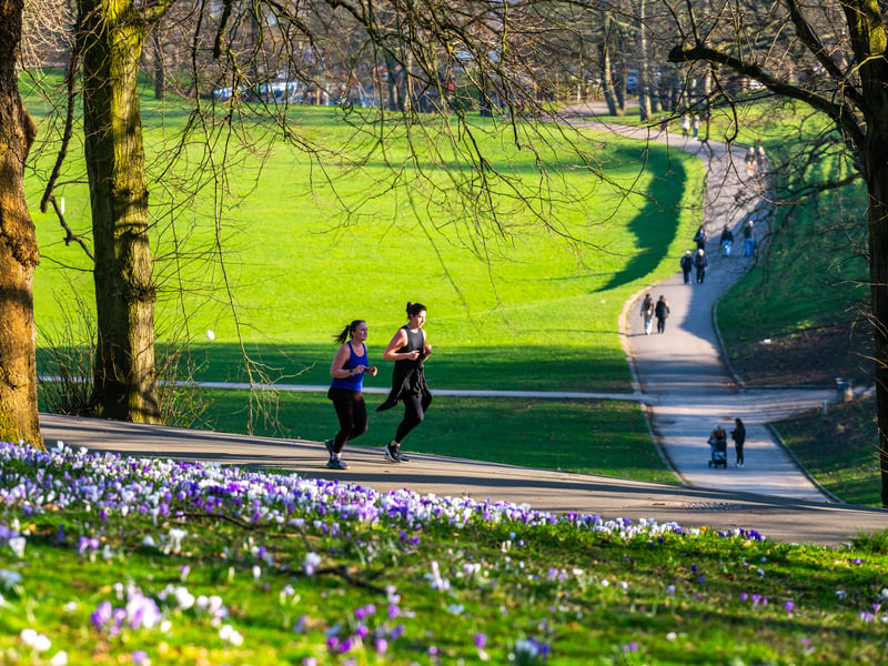 A perennial favourite. While some parts are more accessible, the Lidgett Park area and the streets backing onto Roundhay Park (one of the largest city parks in Europe) remain incredibly prestigious and sought-after.