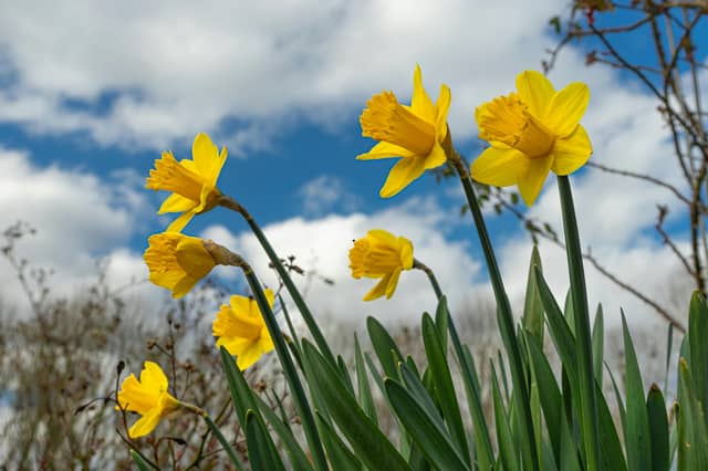 Spring has arrived in Scotland.