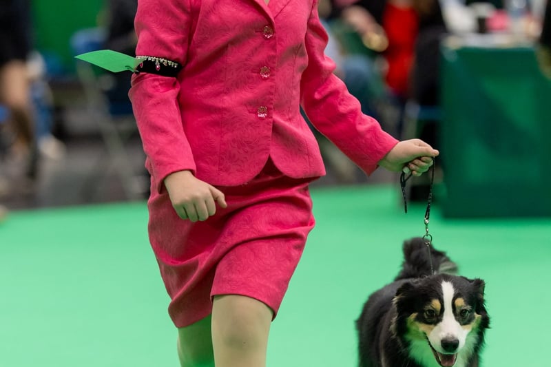Freya Harris The best photos from day one at Crufts 2026