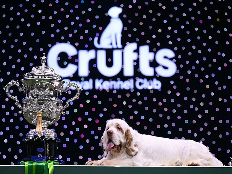 Bruin won the Kendall Memorial Trophy and a £200 cash prize.