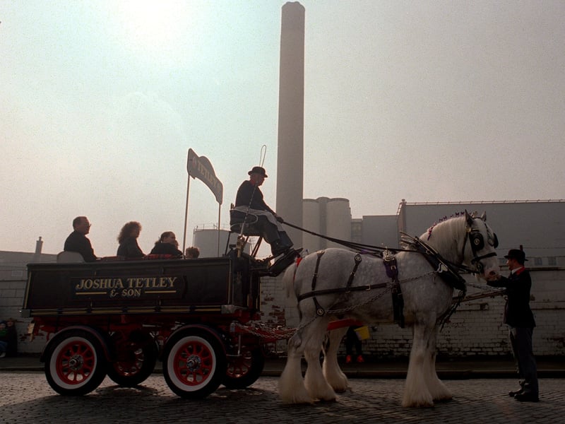 The Easter Tetley's Shire horse parade.