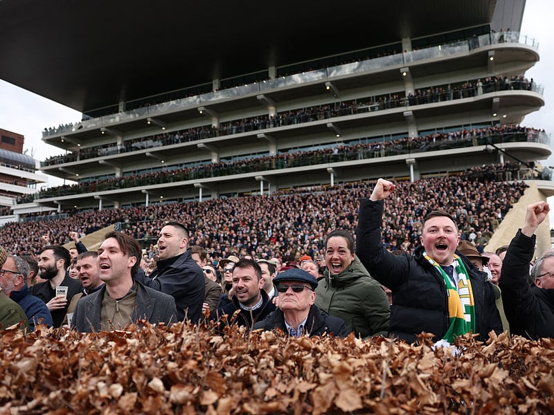 Racegoers react as Old Park Star ridden by Jockey Nico de Boinville wins the Supreme Novices' Hurdle.
