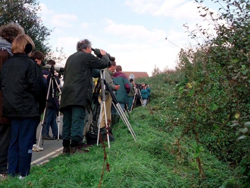 October 1997 and hundreds of twitchers were looking for the Blyths Reed Warbler which spotted had been spotted at South Landing from Russia.