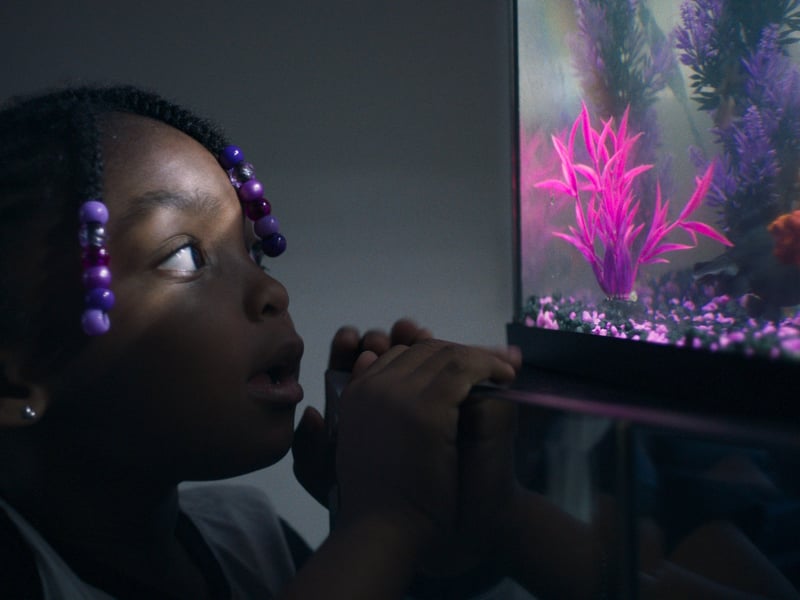 Covering an eight-year period, Daughters is a critically acclaimed documentary following Aubrey, Santana, Raziah, and Ja’Ana as they prepare for a momentous Daddy Daughter Dance with their incarcerated fathers. Discussing their hopes and dreams, as well as speaking openly about their fathers' absence the film sheds light on the complexity of family bonds - especially those within the unforgiving barriers of the criminal justice system.