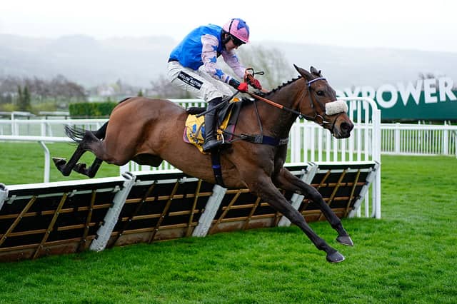 Tom Bellamy riding White Noise clear the last to win The Ryanair Mares' Novices' Hurdle.
