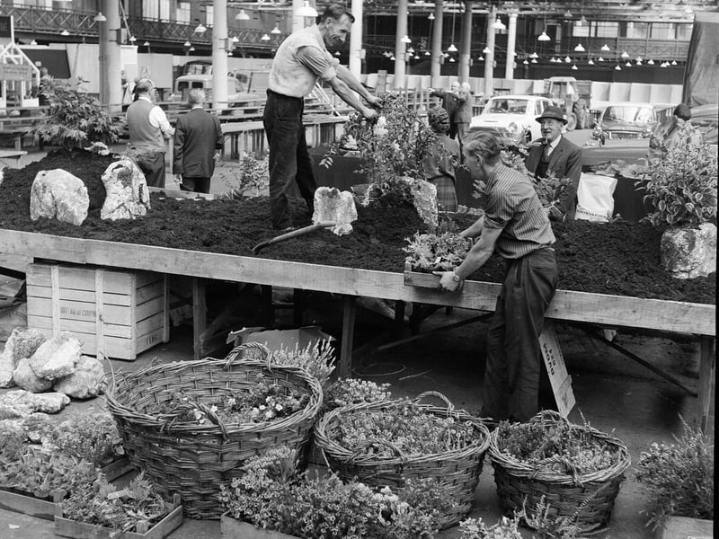 Setting up for the Scottish Autumn Flower Show in Waverley Market in September 1962.