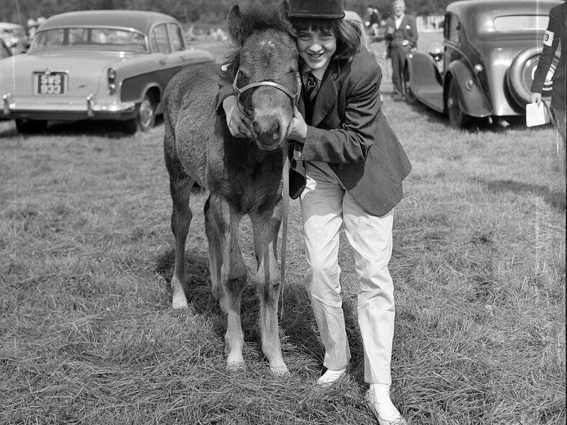 Morag Daley with her colt Playboy at the Dalkeith Agricultural Show in July 1963.