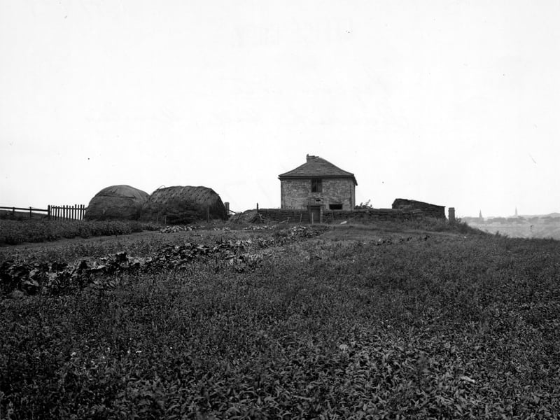 The old pigeon cote on Dunkirk Hill pictured in August 1949. The house has a stone built wall around it next to which are two large bales of hay. A field covers most of the foreground. On the right in the distance houses and church spires can be seen.