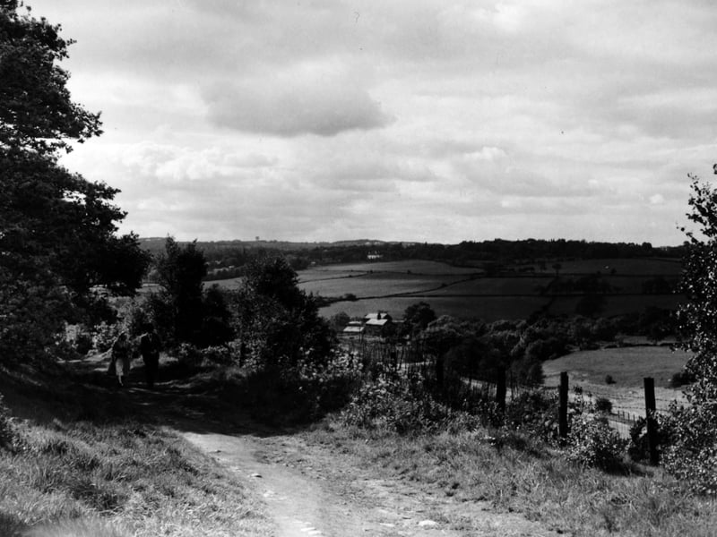 Meanwood looking towards Weetwood and Cookridge in May 1949.