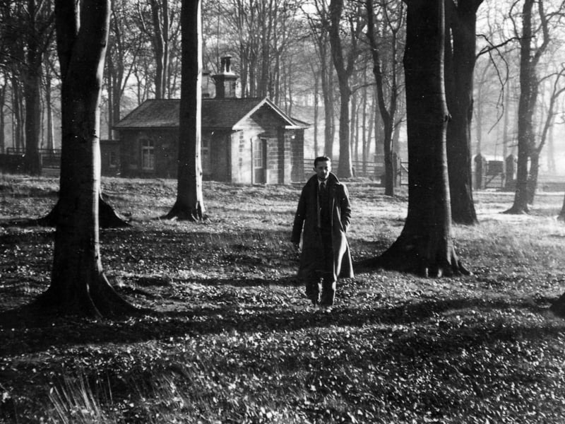An autumn scene at Meanwood Colony in November 1948.
