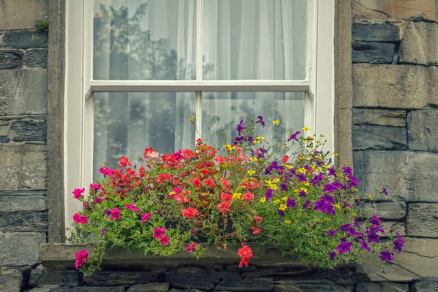 Windo boxes are a great way for those who don't have a garden to get growing.