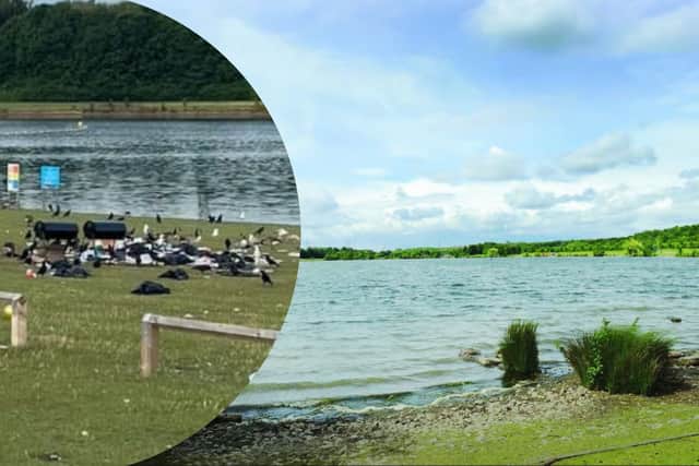 Barbecues are banned at Rother Valley Country Park (Photo: Anna Moxon)