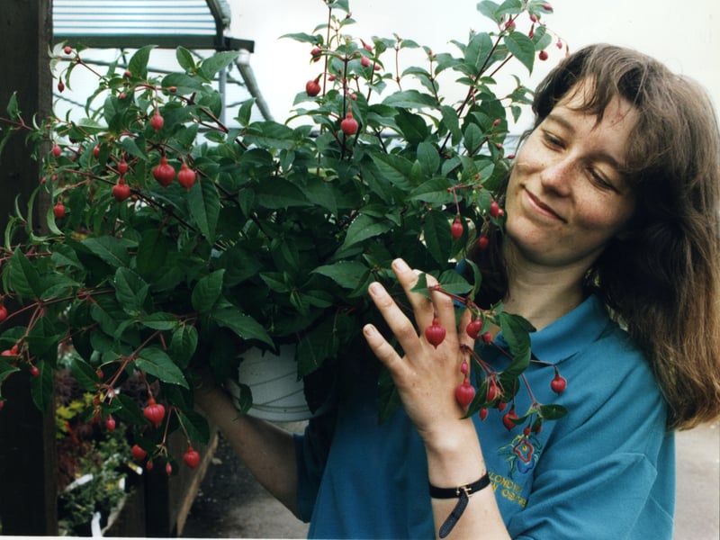 Julia Newman, plant manager, at Kondyke Garden Centre in 1996