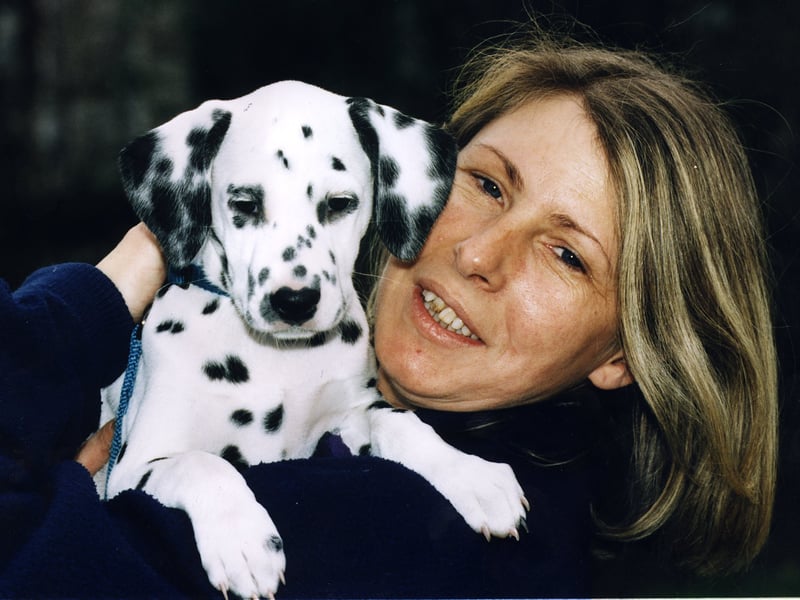 Carol Iwaniec with her dalmation puppy Ferige in 1996 Two of her other dalmation dogs starred in the Walt Disney film 101 Dalmatians.