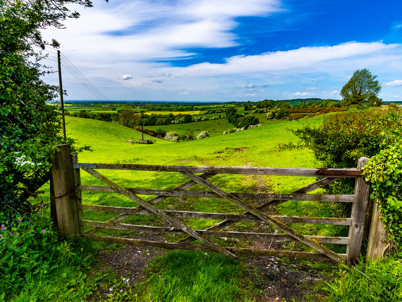 The Howardian Hills in North Yorkshire are described as a 'slice of prime countryside'. The Best Places to Live 2026 guide states: "Anyone keen on country living with a sprinkling of Michelin-starred restaurants and good rail links will be right at home." The average house price in the village of Hovingham, within the Howardian Hills, is £465,600.