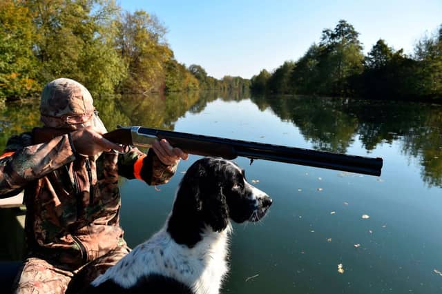 Gundogs are the most popular class of pedigree dog.