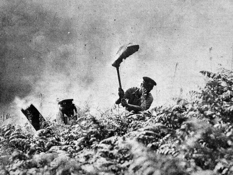 Firemen dealing with a forest fire at Haughmond Hill, near Shrewsbury, in August, 1976. It was during the drought in the summer of 1976.