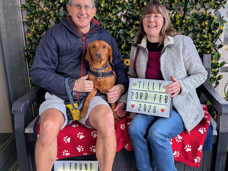 An 18 month old Labrador Crossbreed arrived at Dogs Trust Leeds after her owners moved and were unable to take her with them. Tilly went into foster care, where her carers fell for her so much, they adopted her in late February.